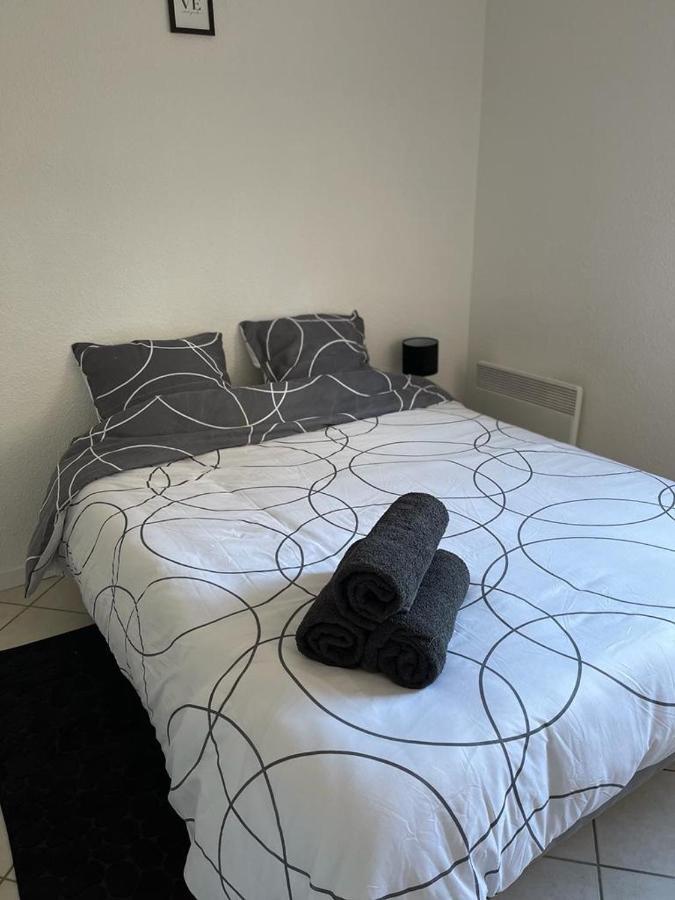 Logement Entier - Universite - Parking Privatif - Wifi 勒芒 外观 照片