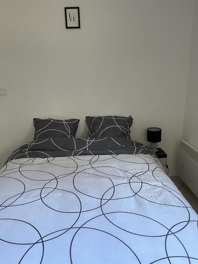 Logement Entier - Universite - Parking Privatif - Wifi 勒芒 外观 照片